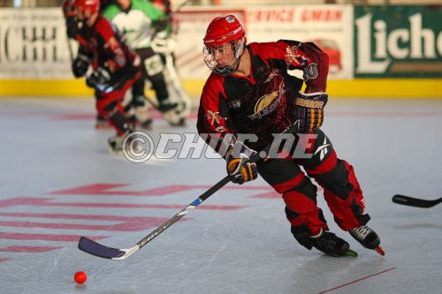Inline-Skaterhockey Deutschland 1. Bundesliga S&uuml;d 2010 IVA-Rhein