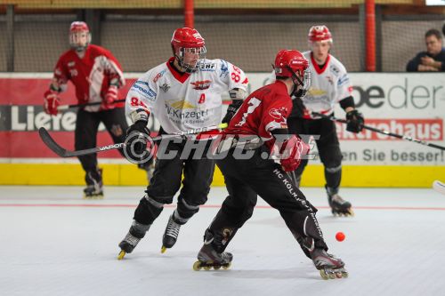 Inline-Skaterhockey Deutschland 1. Bundesliga 2013 IVA-Rhein-Mai