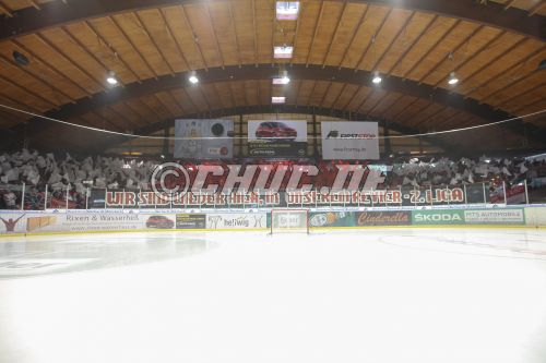 DEL II 2013/14 - Rote Teufel EC Bad Nauheim gg. Fischtown Pingui
