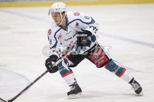 DEL II 2013/14 - Rote Teufel EC Bad Nauheim gg. Starbulls Rosenh