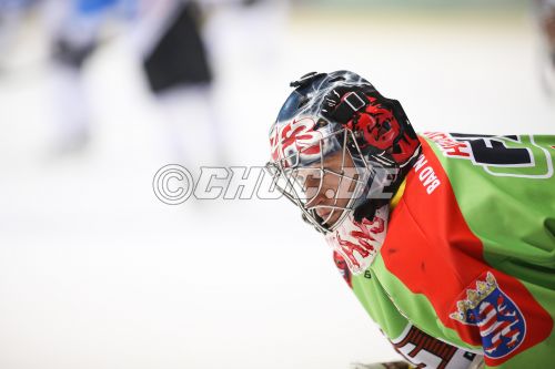 DEL II 2013/14 - Rote Teufel EC Bad Nauheim gg. Dresdner Eisl&ouml;w