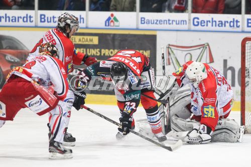 DEL II Zwischenrunde 2013/14 - Rote Teufel EC Bad Nauheim gg. Ei