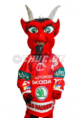 Neues Heimtrikot DEL II 2013/14 - Rote Teufel EC Bad Nauheim