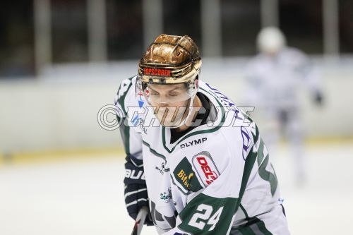 DEL II 2014/15 - Rote Teufel EC Bad Nauheim gg. Bietigheim Steel
