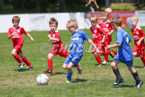 Uwe-Bindewald-Bambini-Cup der G-Junioren
