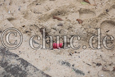 , Spielplatz an der Bleiche in Bad Nauheim, Hinterlassenschaft im Neujahr 2018, Bad Nauheim, Bad Nauheim, 01.01.18