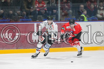 -41- Jannik Herm (W&ouml;lfe EHC Freiburg) vor -26- James Livingston (-A- EC Bad Nauheim), in der DEL 2 - EC Bad Nauheim gegen Freiburg W&ouml;lfe, Bad Nauheim, Colonel-Knight-Stadion, 04.11.18