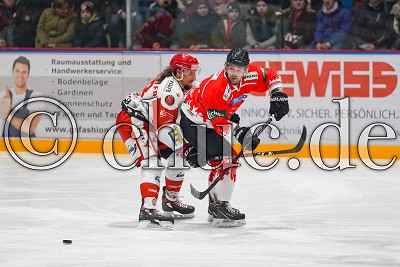 -81- Andrej Bires (EC Bad Nauheim) vor -28- Patrick Pohl (Eispiraten Crimmitschau), in der DEL 2 - EC Bad Nauheim gegen Eispiraten Crimmitschau, Bad Nauheim, Colonel-Knight-Stadion, 22.02.19