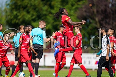 -17- Shelby PRINTEMPS (T&uuml;rk G&uuml;c&uuml; Friedberg) springt sich ein, Hessenliga - T&uuml;rk G&uuml;c&uuml; Friedberg gegen FC Eddersheim, Ober-Rosbach, Sportplatz, 24.08.19