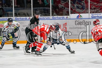 -14- Marcel Kahle (EC Bad Nauheim) gegen -67- Tom Knobloch (Dresdner Eisl&ouml;wen) beim Bully, in der DEL 2 - EC Bad Nauheim gegen Dresdner Eisl&ouml;wen, Bad Nauheim, Colonel-Knight-Stadion, 09.02.20