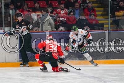 -71- Shawn O'Donnell (Ravensburg Towerstars) gegen -34- Zach Hamill (EC Bad Nauheim), in der DEL 2 - EC Bad Nauheim gegen Ravensburg Towerstars, Bad Nauheim, Colonel-Knight-Stadion, 21.02.20
