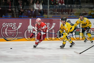 -81- Andrej Bires (EC Bad Nauheim) vor -16- Alexander Fichtner (T&ouml;lzer L&ouml;wen), DEL 2 - EC Bad Nauheim gegen T&ouml;lzer L&ouml;wen, Bad Nauheim, Colonel-Knight-Stadion, 21.02.22
