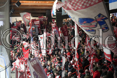 Fahnenmeer der S&uuml;dkurve, DEL 2 - Playoffs Halbfinale - Spiel 4 - EC Bad Nauheim gegen Ravensburg Towerstars, Colonel-Knight-Stadion, 27.03.22