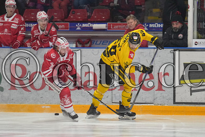 -16- Pascal Zerressen (Krefeld Pinguine) vor -36- Jerry Pollastrone (EC Bad Nauheim), DEL 2 - EC Bad Nauheim gegen Krefeld Pinguine, Bad Nauheim, Colonel-Knight-Stadion, 18.12.22
