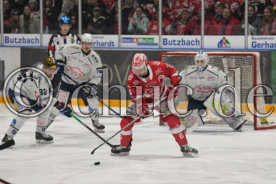 -6- Tim Coffman (EC Bad Nauheim) gegen -92- Tomas Andres (Dresdner Eisl&ouml;wen) vor -73- Pascal Seidel (Dresdner Eisl&ouml;wen), DEL 2 - EC Bad Nauheim gegen Dresdner Eisl&ouml;wen, Bad Nauheim, Colonel-Knight-Stadion, 15.12.23