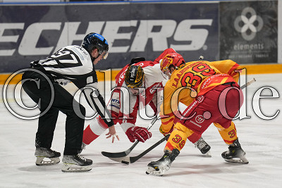 -6- Tim Coffman (EC Bad Nauheim) gegen -39- Jere Laaksonen (ESV Kaufbeuren) beim Bully, DEL 2 - EC Bad Nauheim gegen ESV Kaufbeuren, Bad Nauheim, Colonel-Knight-Stadion, 20.02.24