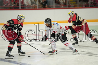 -77- Raphael Opoma Ngombo (HC Amiens Somme) gegen -90- Parker Bowles (EC Bad Nauheim) und -93- Julian Lautenschlager (EC Bad Nauheim), Vorbereitungsspiel - EC Bad Nauheim gegen HC Amiens Somme, Bad Nauheim, Colonel-Knight-Stadion, 25.08.24