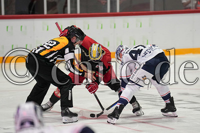 -73- Zach Kaiser (EC Bad Nauheim) gegen -47- Vladislav Filin (Blue Devils Weiden) beim Bully, Vorbereitungsspiel - EC Bad Nauheim gegen Blue Devils Weiden, Bad Nauheim, Colonel-Knight-Stadion, 30.08.24