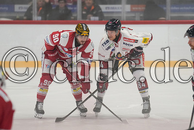 -90- Parker Bowles (EC Bad Nauheim) gegen -84- Eero Elo (-A- EHC Freiburg), DEL 2 - EC Bad Nauheim gegen EHC Freiburg, Bad Nauheim, Colonel-Knight-Stadion, 20.10.24