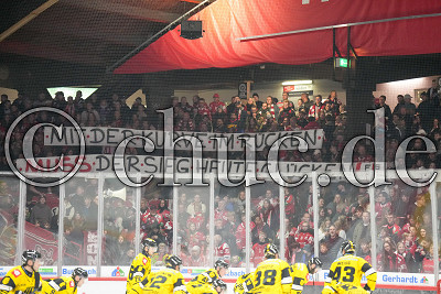 &bdquo;Mit der Kurve im R&uuml;cken muss der Sieg heute gl&uuml;cken!&ldquo;, DEL 2 - EC Bad Nauheim gegen Krefeld Pinguine, Bad Nauheim, Colonel-Knight-Stadion, 25.10.24
