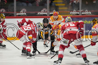 -19- Taylor Vause (EC Bad Nauheim) gegen -39- Jere Laaksonen (-A- ESV Kaufbeuren) beim Bully, DEL 2 - EC Bad Nauheim gegen ESV Kaufbeuren, Bad Nauheim, Colonel-Knight-Stadion, 24.11.24