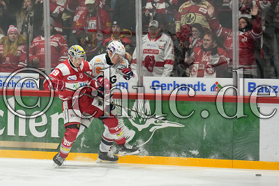 -89- Henri Kanninen (EC Bad Nauheim) gegen -56- Leonhard Korus (Ravensburg Towerstars), DEL 2 - EC Bad Nauheim gegen Ravensburg Towerstars, Bad Nauheim, Colonel-Knight-Stadion, 01.12.24