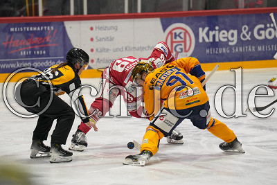 -19- Taylor Vause (EC Bad Nauheim) gegen -91- Roope M&auml;kitalo (Lausitzer F&uuml;chse), DEL 2 - EC Bad Nauheim gegen Lausitzer F&uuml;chse, Bad Nauheim, Colonel-Knight-Stadion, 06.12.24