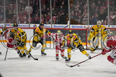 -19- Taylor Vause (EC Bad Nauheim) gegen -48- Maximilian Adam (Krefeld Pinguine), DEL 2 - EC Bad Nauheim gegen Krefeld Pinguine, Bad Nauheim, Colonel-Knight-Stadion, 26.01.25