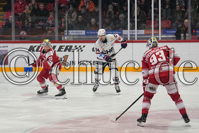 -23- Marius Erk (-A- EC Bad Nauheim) gegen -94- Jan Nijenhuis (Ravensburg Towerstars), DEL 2 - EC Bad Nauheim gegen Ravensburg Towerstars, Bad Nauheim, Colonel-Knight-Stadion, 21.02.25