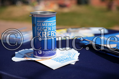 Gemeinsam gegen den Krebs, Herren 60 - Regionalliga S&uuml;dwest - Ober-M&ouml;rler TC gegen TSG Backnang, Ober-M&ouml;rler, Ober-M&ouml;rler TC, 05.07.25