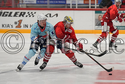 -7- Davis Koch (EC Bad Nauheim) gegen -29- Calder Anderson (Heilbronner Falken), Vorbereitungsspiel - EC Bad Nauheim gegen Heilbronner Falken, Bad Nauheim, Colonel-Knight-Stadion, 05.09.25