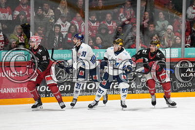 -97- Matt White (-A- EC Kassel Huskies) und -10- Julian Kornelli (EC Bad Nauheim), links -36- Pierre Preto (EC Bad Nauheim) und -31- Lucas Dumont (EC Kassel Huskies), DEL 2 - EC Bad Nauheim gegen EC Kassel Huskies, Bad Nauheim, Colonel-Knight-Stadion, 11.10.26
